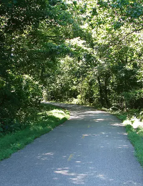 Walk or Bike Along the Capital Crescent Trail